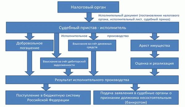 Процедура взыскания и варианты оплаты