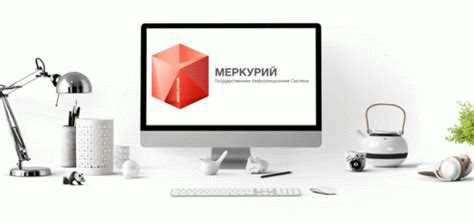 Как проверить статус возврата в ФГИС Меркурии?