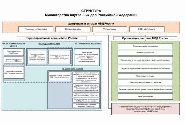 Организована каким образом МВД?