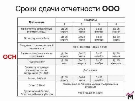 Как отчитываются ИП-работодатели