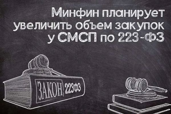 Чем отличается 223-ФЗ от 44-ФЗ