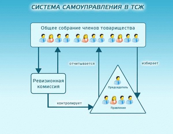 Что должно быть прописано в должностной инструкции председателя СНТ?