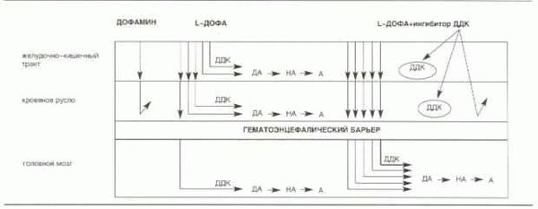 Чем различаются прекращение регистрации и снятие с учета