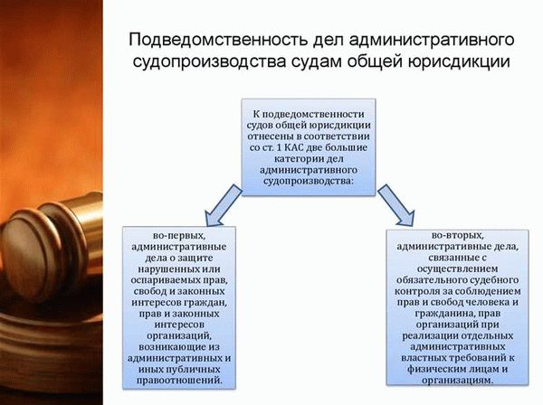 Судебное разбирательство в административном суде