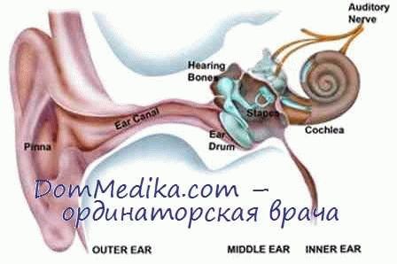 Признаки и симптомы тугоухости 3 степени