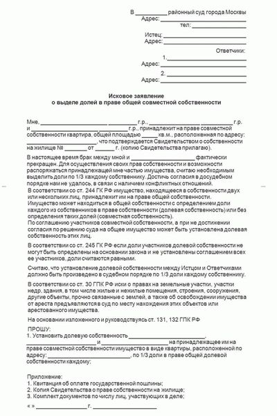 Встречное исковое заявление: порядок общения с ребенком, бланк 2024, скачать в doc.